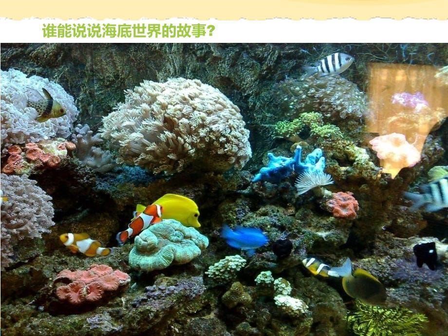 《海底世界多奇妙课件》小学美术岭南社2课标版一年级下册课件_30_第5页