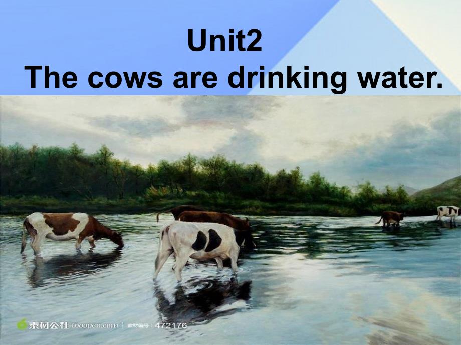 2016春六年级英语下册module3unit2《thecowsaredrinkingwater》课件3（新版）外研版（三起）_第4页