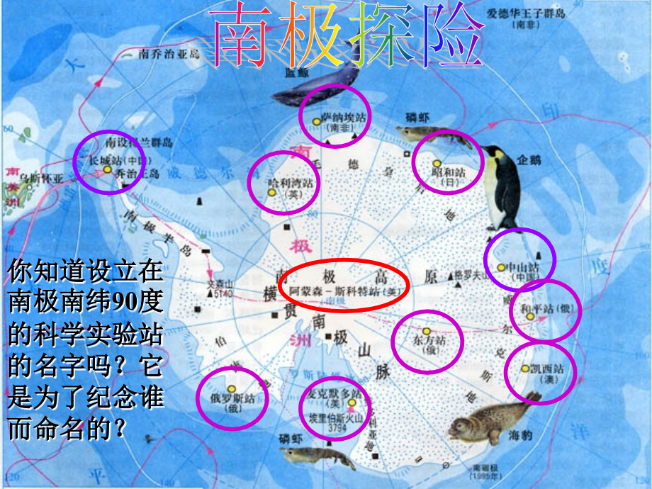 语文《伟大的悲剧》课件（人教版七年级下册）ppt课件_第3页