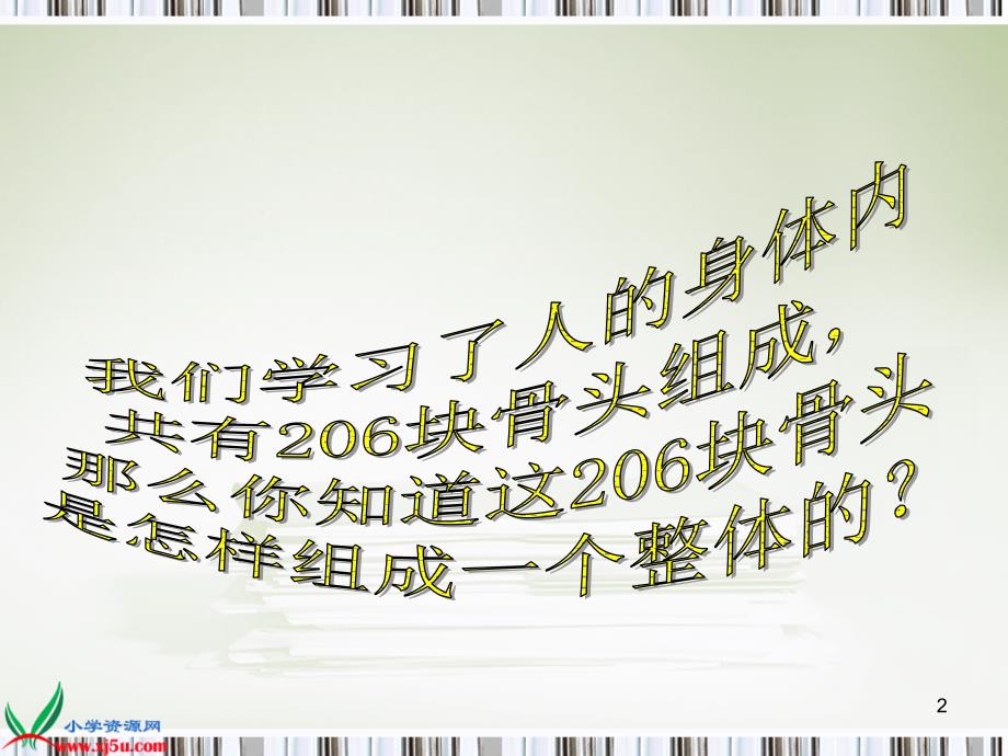 苏教版小学科学四年级下册《关节》课件_1_第2页