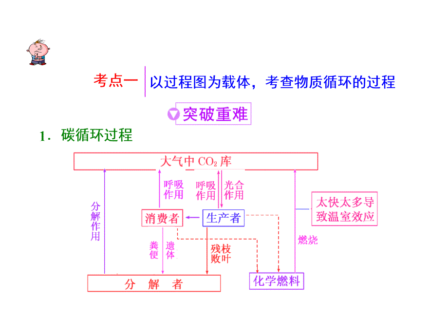 生态系统的物质循环信息传递与稳定性课件（二）（人教版必修三）_第2页