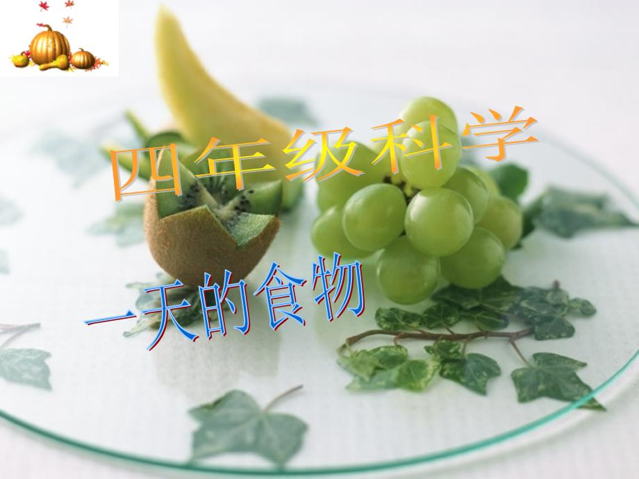 教科版小学科学四年级下册《一天的食物》课件之三_第2页