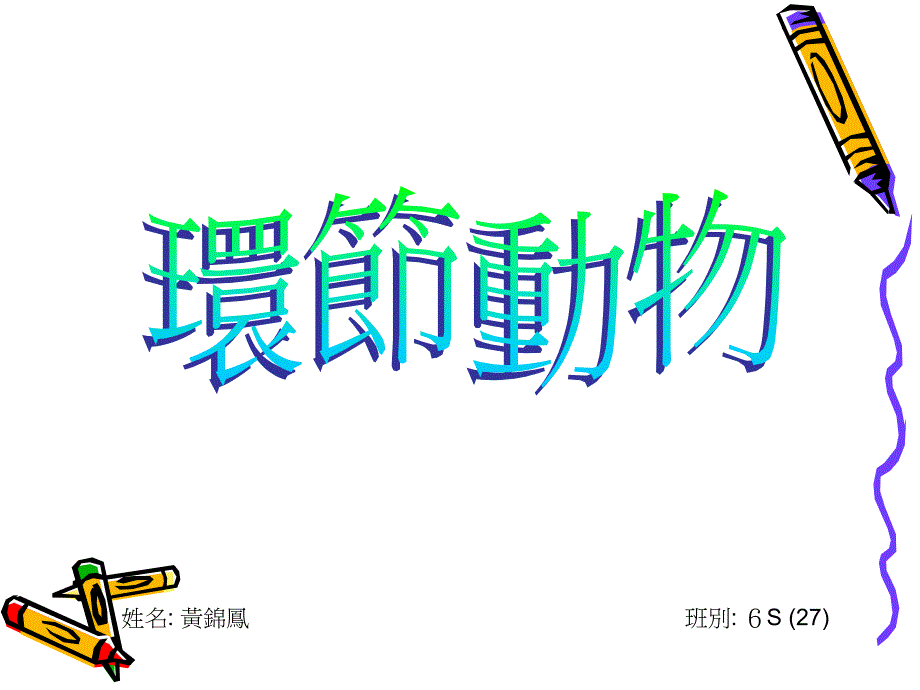 环节动物_第1页