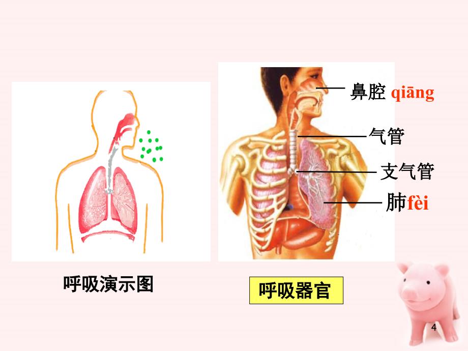 四年级科学上册运动起来会怎样（一）1课件教科版_1_第4页