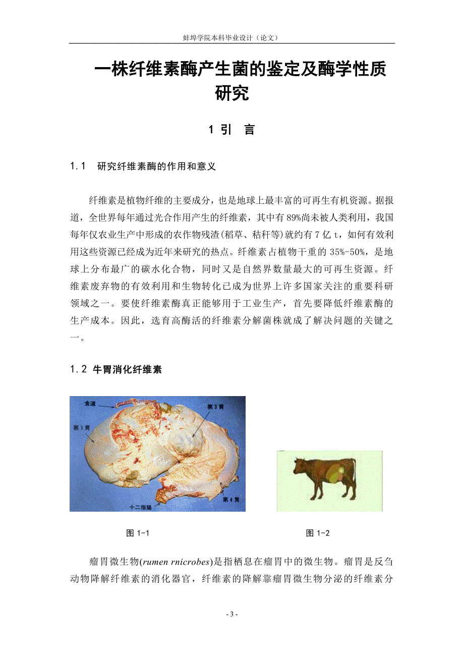 一株纤维素酶产生菌的鉴定及酶学性质研究_第1页