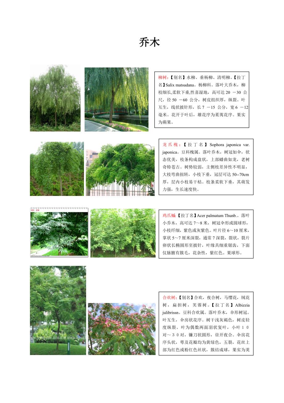 唐山市乔木资料图文并茂一一对应_第1页