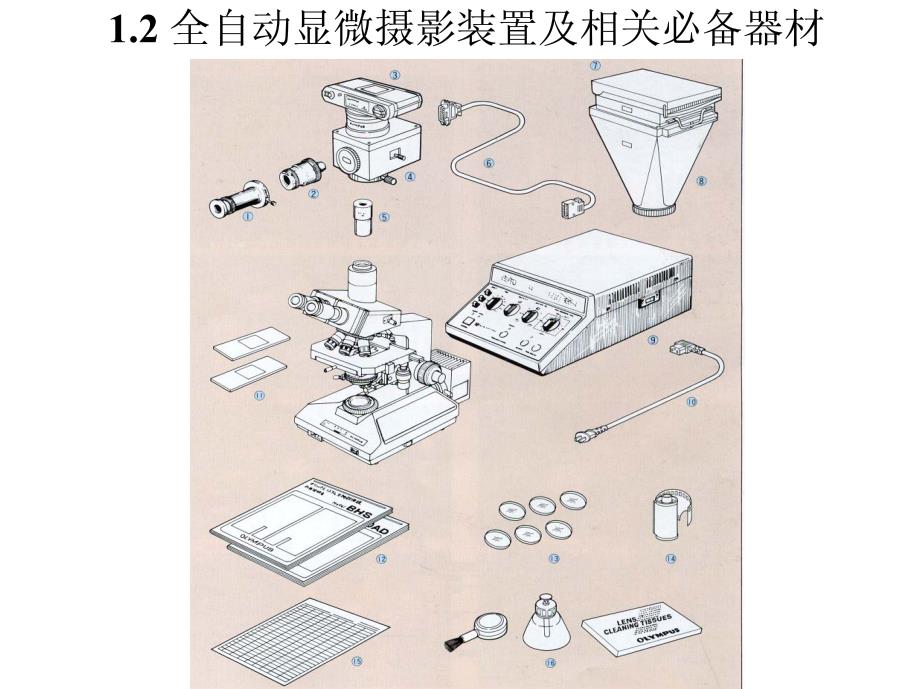 生物科学与生物技术专业本科_第4页