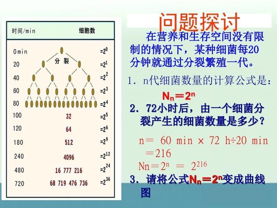 2013届高三生物教师随堂精选课件：《种群的增长方式》4（浙科版必修3）_第5页