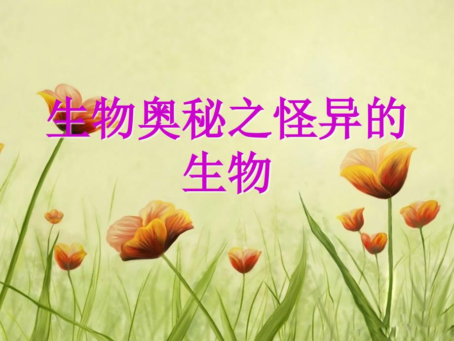 生物奥秘之怪异的生物_第1页