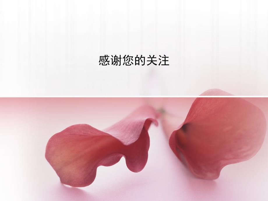 粉红色的花瓣清爽ppt模板_第3页