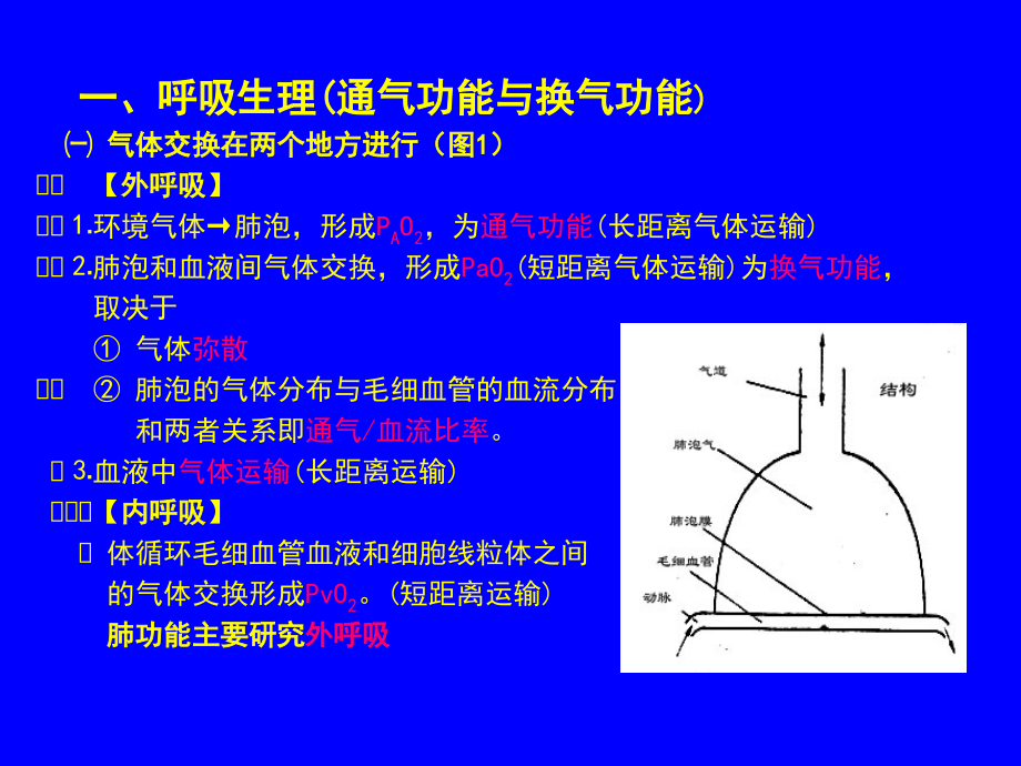 肺功能测验的临床应用-黄思贤_第3页