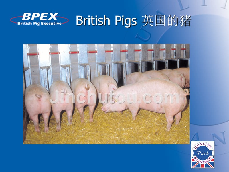 英国猪肉产业的整条链保障_第4页