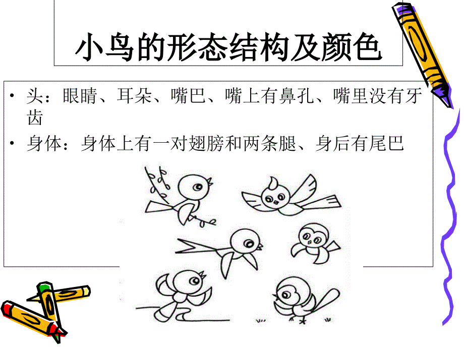 公开课《快乐的小鸟》岭南版一年级美术下册ppt课件_3_第2页