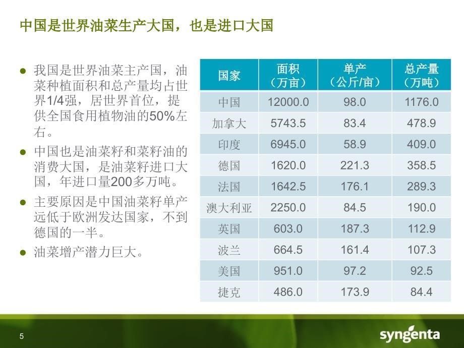 先正达油菜壮苗增产技术_第5页