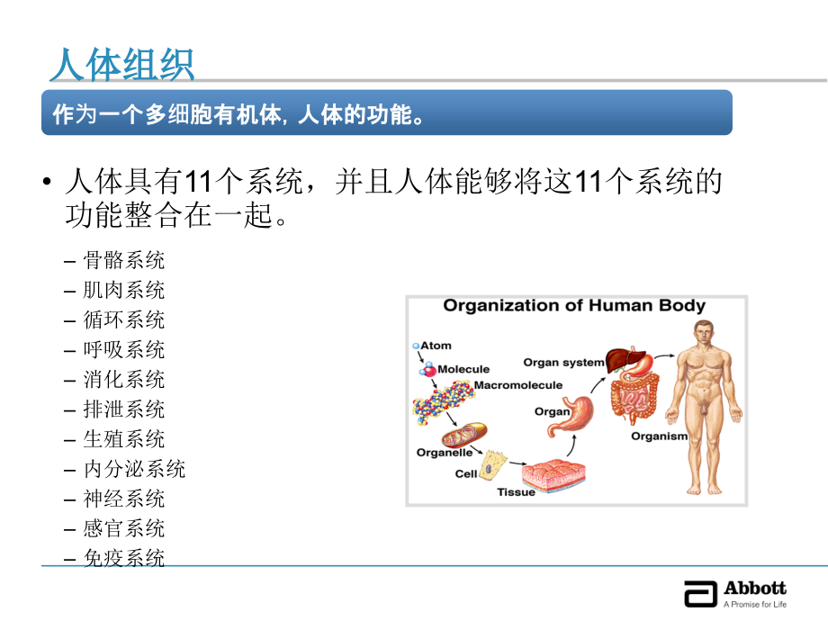 糖尿病基础知识培训_第2页