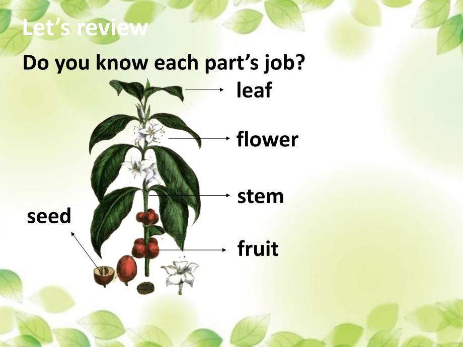 北京课改版小学英语五年级下lesson7课件_第3页