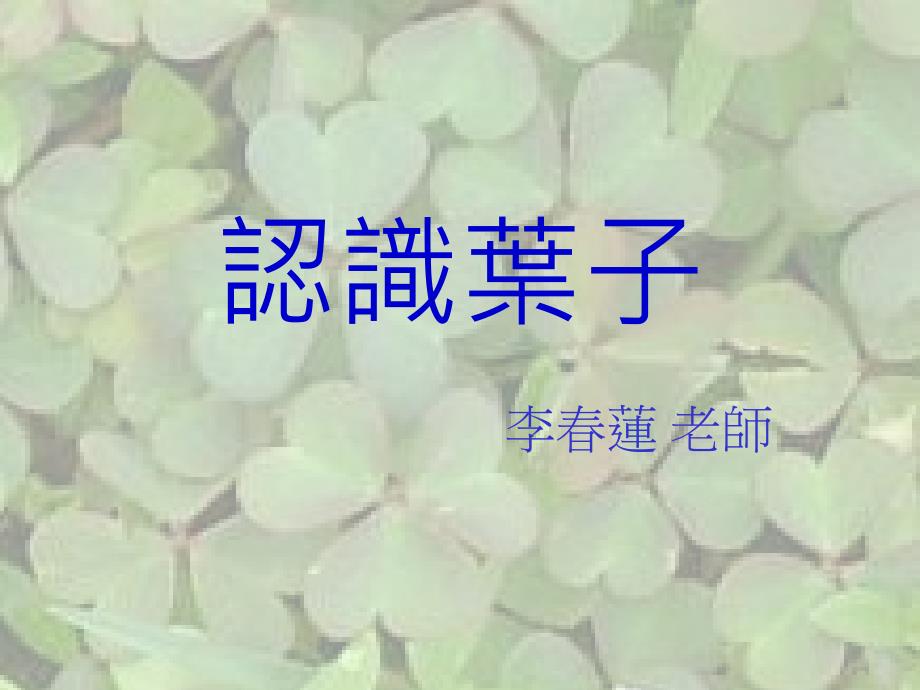 认识叶子_第1页