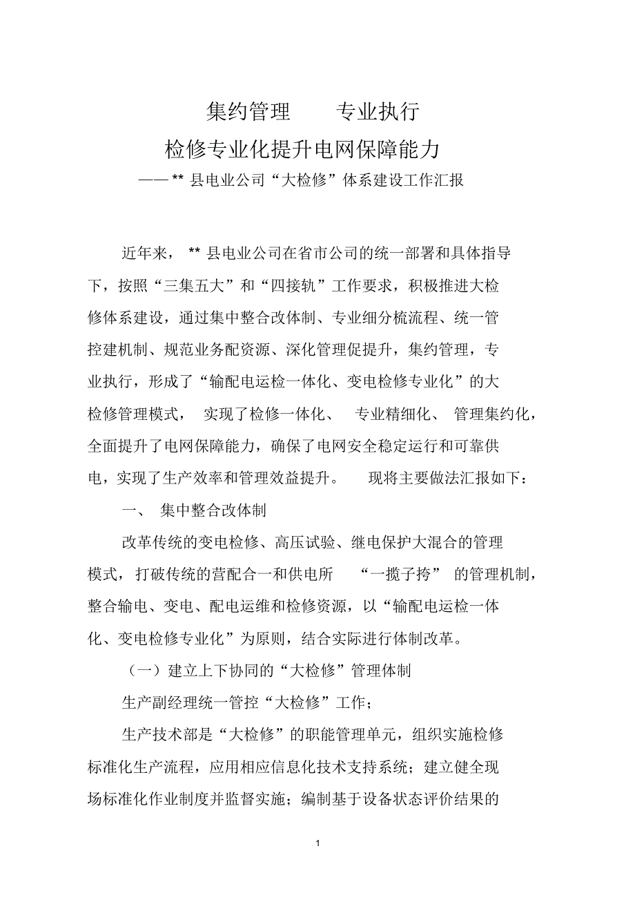县电业公司大检修体系建设工作汇报5_第1页