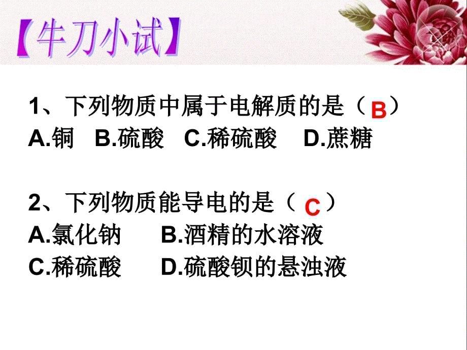 离子反应(完整)ppt_第5页