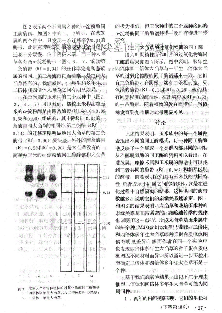 应用同工酶技术鉴定二倍体多年生大刍草在玉米族中的亲缘关系_第3页