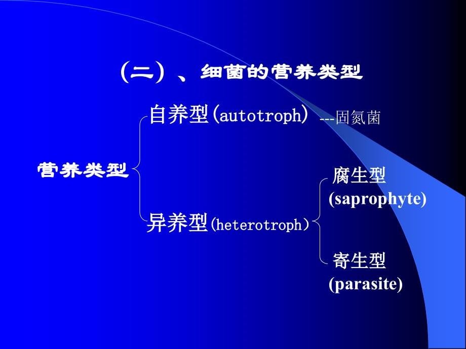 细菌的生理，噬菌体_第5页