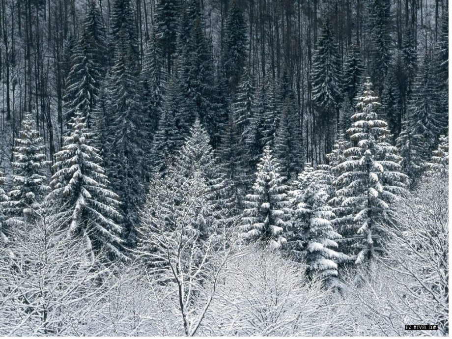 新课标人教版一年级语文上册雪地里的小画家课件_1_第3页