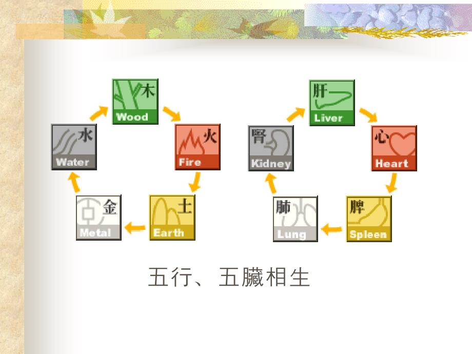 中医营养学-2008_第3页