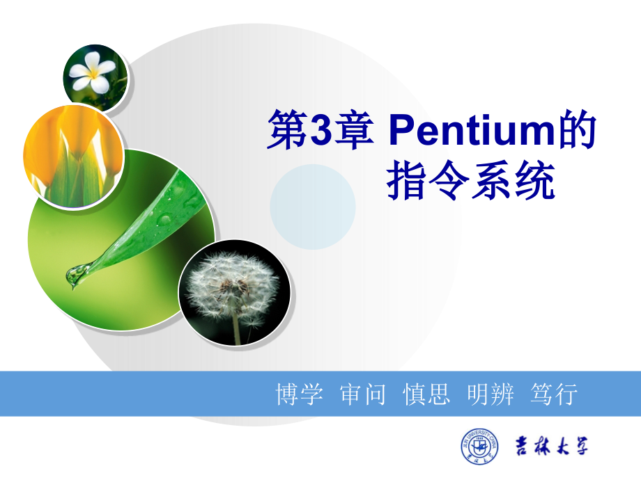 微型计算机技术与应用第3章pentium的指令系统_第1页
