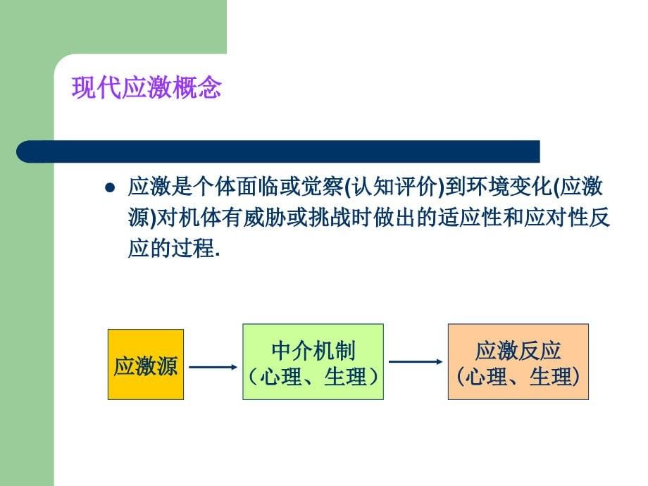 心理应激与心身疾病(stressandpsychosomaticdisea_第5页