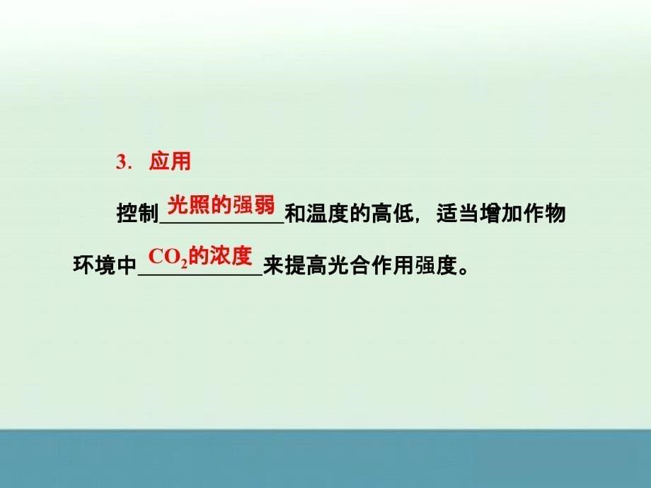 2014届高一生物同步教材课件：第5章第4节《光合作用的原理和应用》2（新人教版必修1）_第5页