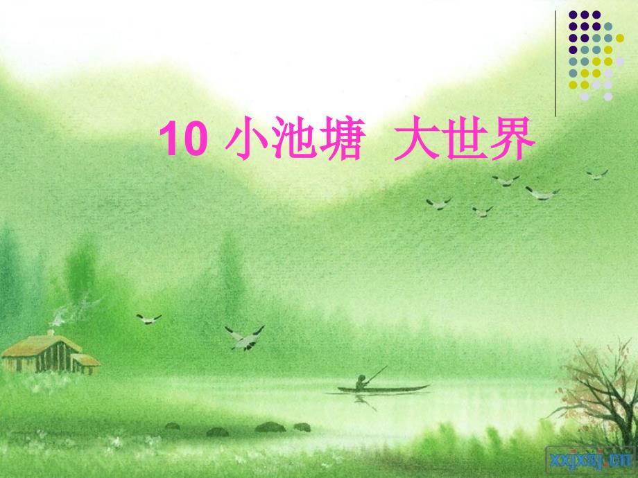 冀教版小学科学六年级下册《小池塘_大世界》课件_第1页