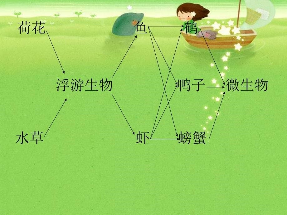 冀教版小学科学六年级下册《小池塘_大世界》课件_第5页