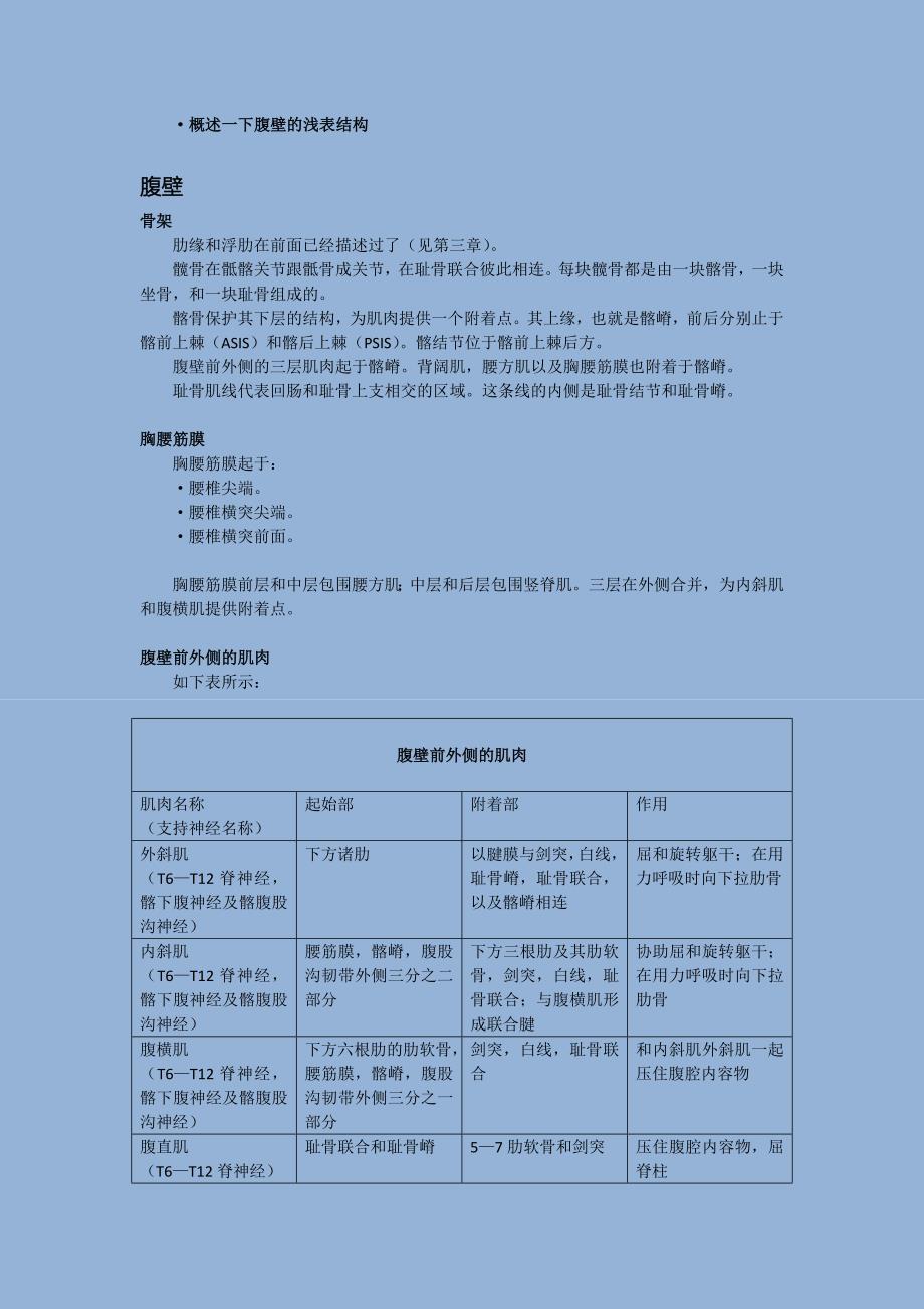 解剖学第四章_第2页