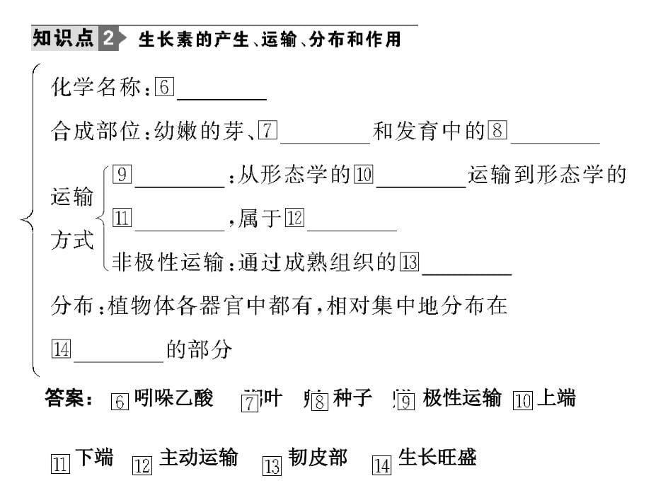 人教版教学课件2011高考生物一轮复习课件必修3植物生长素的发现生理作用及其他植物激素_第5页