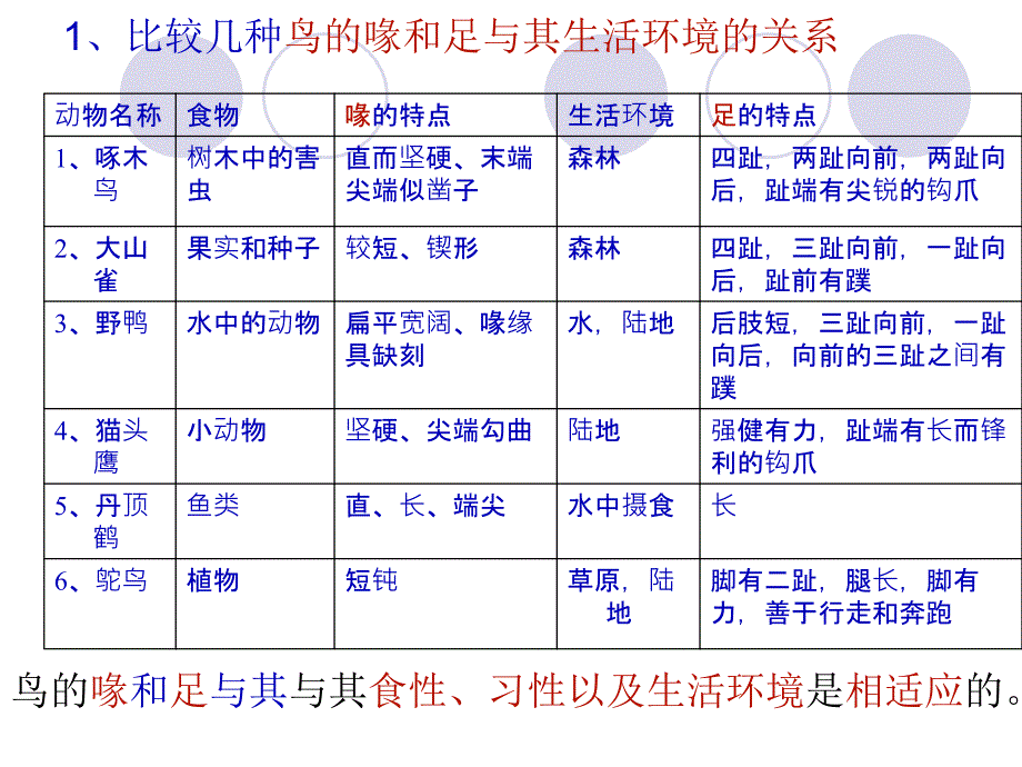 冀教版生物七上第三章复习提纲_第3页