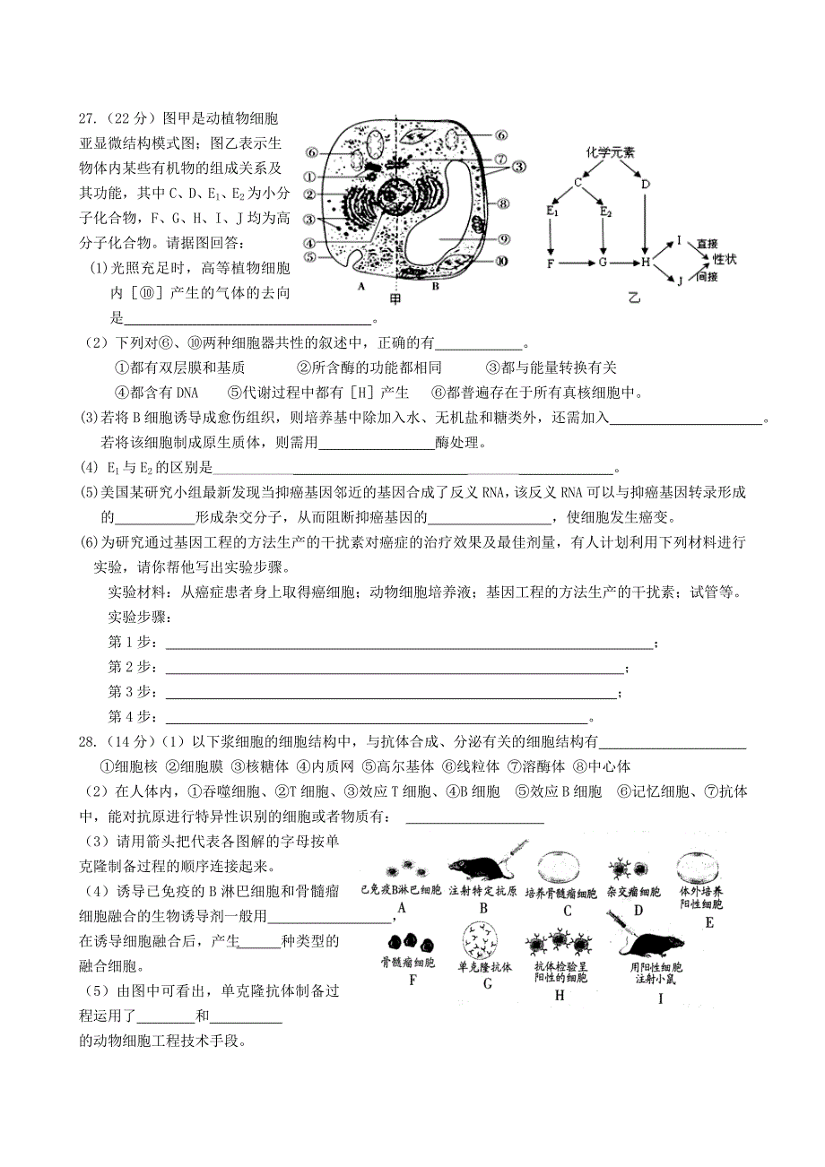 东莞实验中学高三理科综合测试——生物试题(2010.2.8)_第3页
