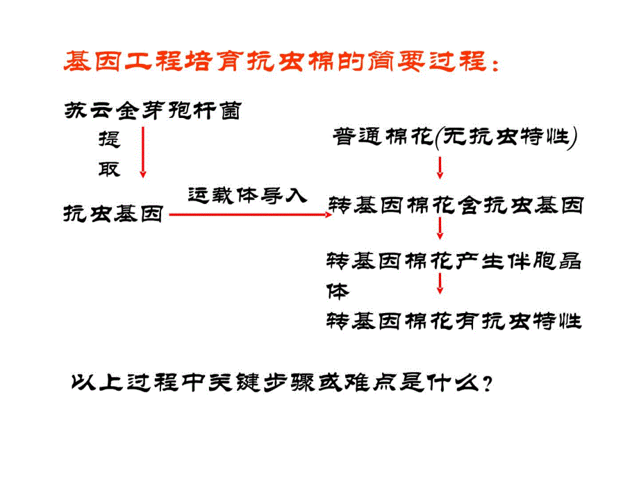 基因工程11_第4页