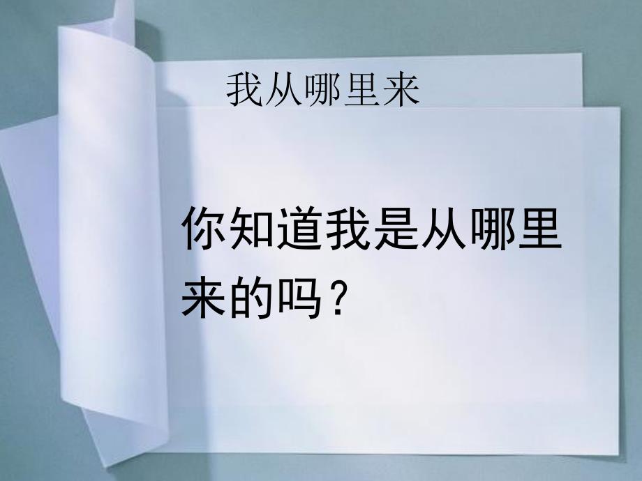 部编版《道德与法治》二年级下册第11课《我是一张纸》优质课件_第4页