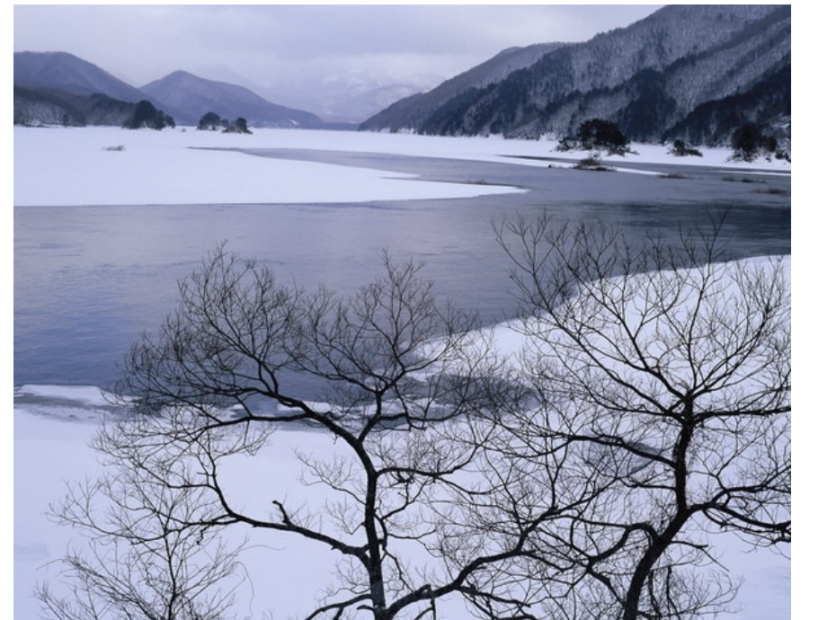 新课标人教版一年级语文上册雪地里的小画家课件_2_第4页