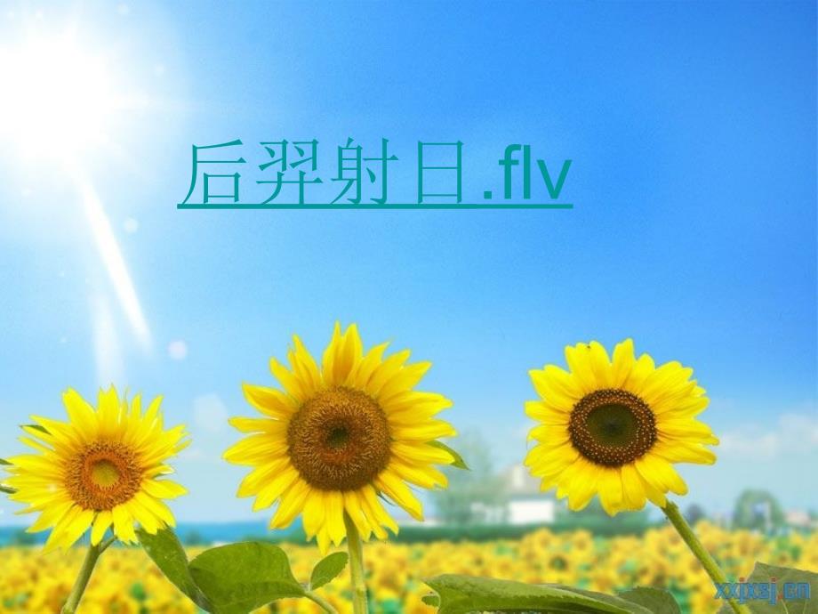 小学一年级语文《四个太阳》课件_第2页