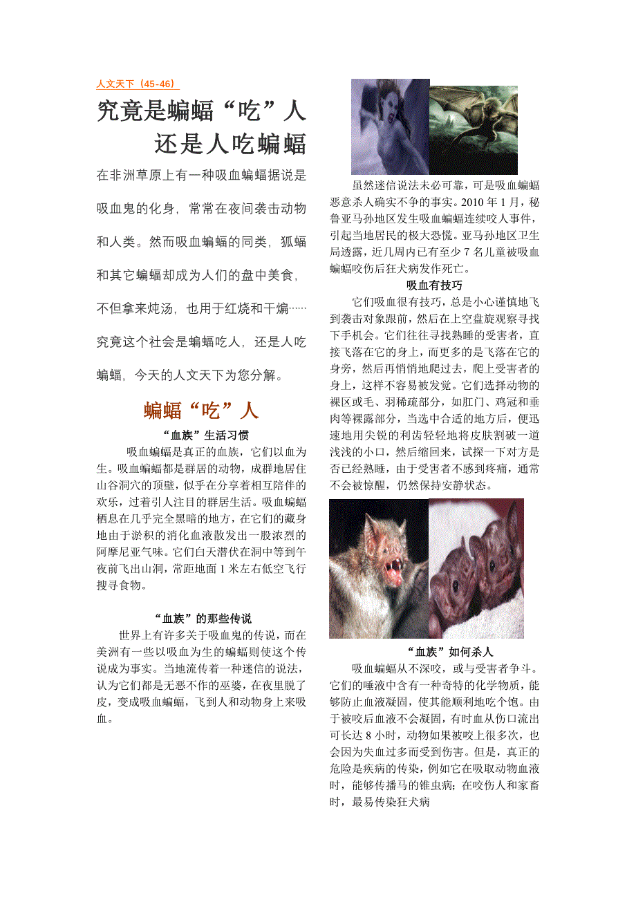 泰国人吃蝙蝠_第1页