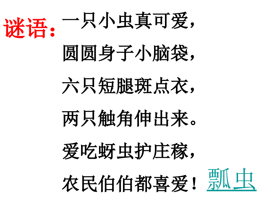 瓢虫的花衣裳课件小学美术人教2011课标版一年级下册课件_22_第2页