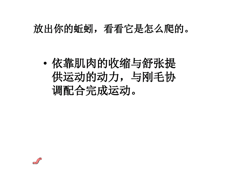 观察蚯蚓_第3页