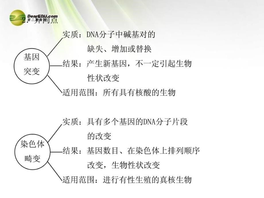 全程复习方略2013版高中生物小专题复习课热点总结与高考预测（四）配套课件浙科版_第5页