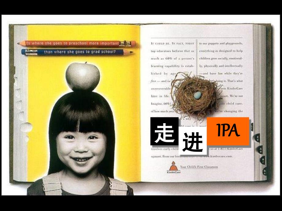 新ipa2009介绍【太平人寿培训课件】-下载课件_第2页