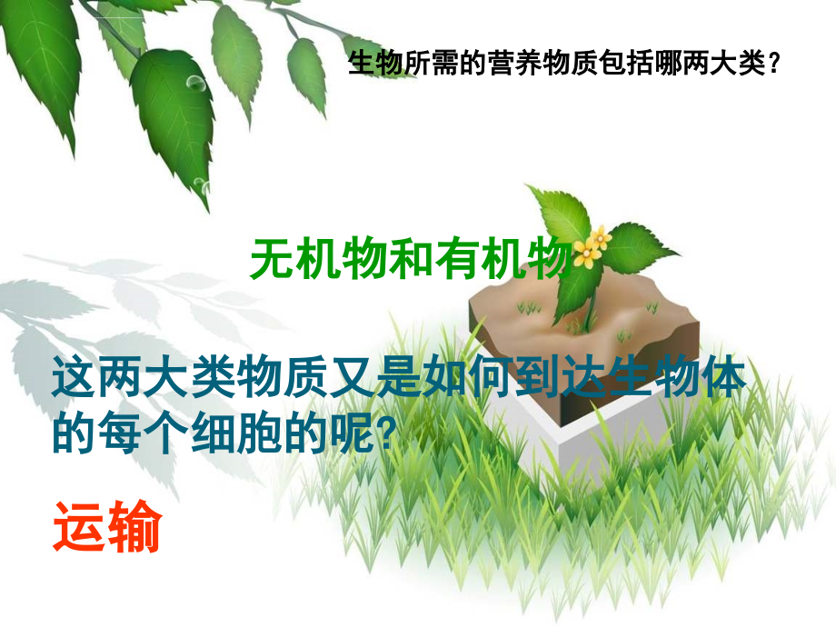 七年级生物下册植物体内的物质运输课件北京课改版_4_第4页