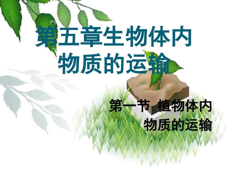 七年级生物下册植物体内的物质运输课件北京课改版_4_第5页