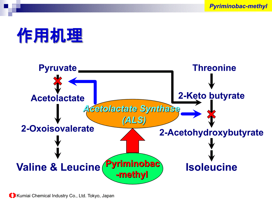 必利必能新型稗草除草剂(中文介绍资料)_第4页