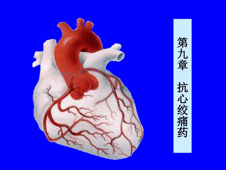 8抗心绞痛药_第1页