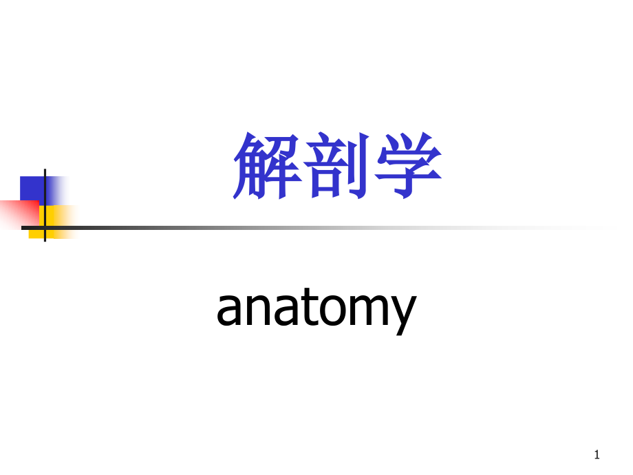 人体解剖学1-运动系统_第1页